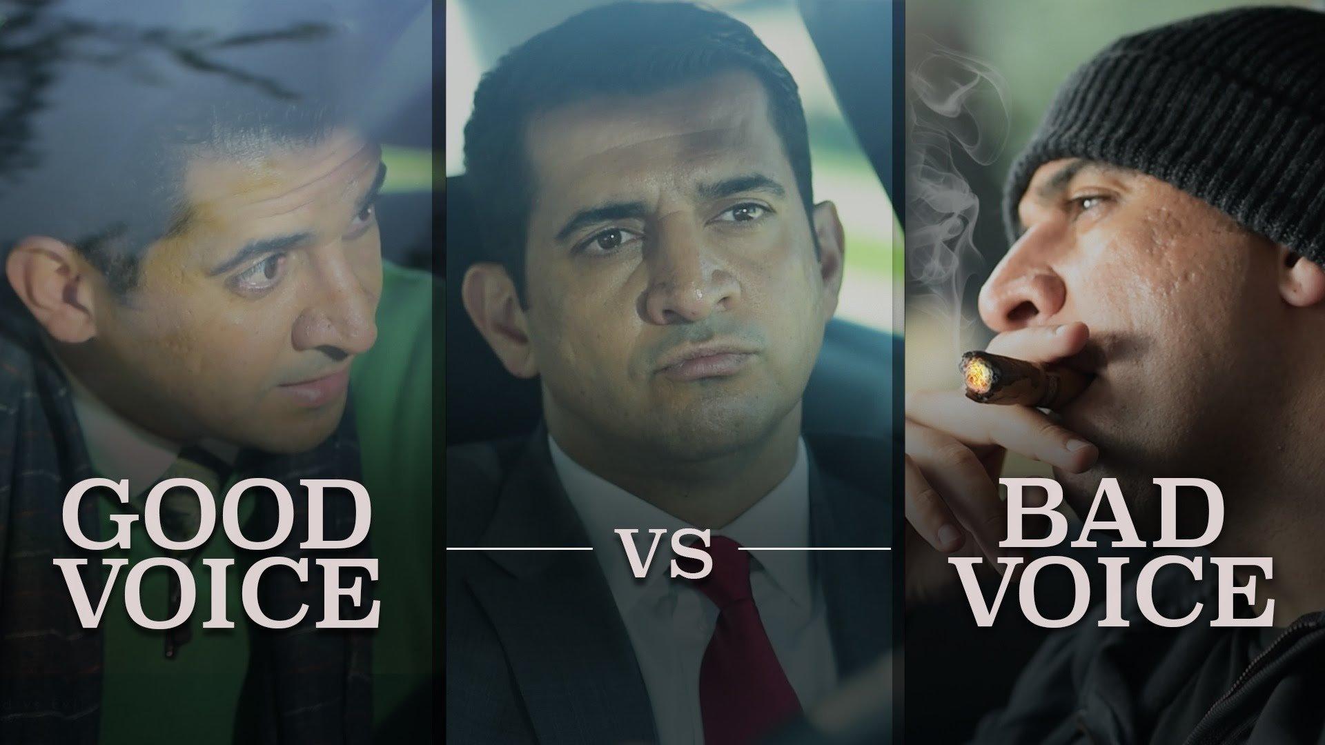 Good Voice, Bad Voice